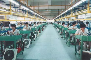 40年家電發(fā)展 見證改革浪潮中的生活變遷與技術開發(fā)